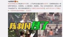 沈猛爆料陆世宏视频,惊人内幕曝光
