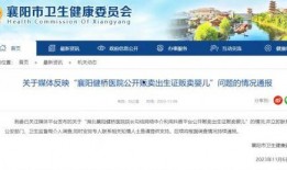 襄阳新闻爆料,揭秘当地最新热点事件！