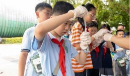 南京小学爆料新闻,揭秘校园里的那些事儿