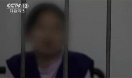 衡阳记者爆料事件始末视频,真相与争议交织的舆论漩涡
