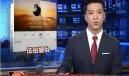娱乐大八卦大爆料文章,大爆料文章背后的惊人真相