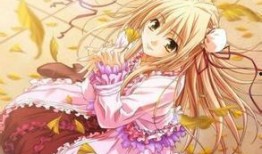 金色淑女动漫在线观看,动漫世界中的璀璨明珠