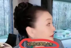 张兰爆料离职是真的吗视频,揭秘视频爆料背后的真相