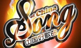 十首爆料歌曲大全视频,视频盘点背后的音乐风云