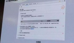 小程序最新爆料栏,功能升级与亮点抢先看