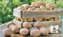 没有钱1在线观看土豆,揭秘贫困生活背后的感人故事