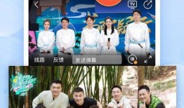 高清电视在线观看免费,免费在线观看高清电视，尽在指尖