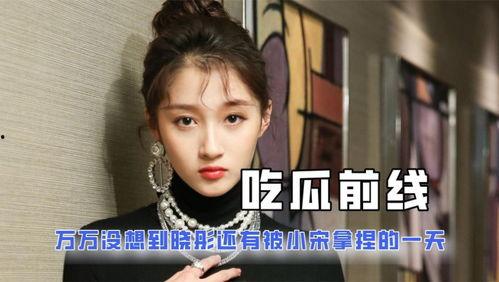 关于娱乐圈的吃瓜的小说,幕后风云，瓜田乱舞